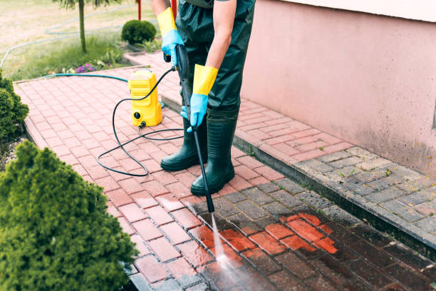 Best Solar Panel Cleaning  in Gifford, FL